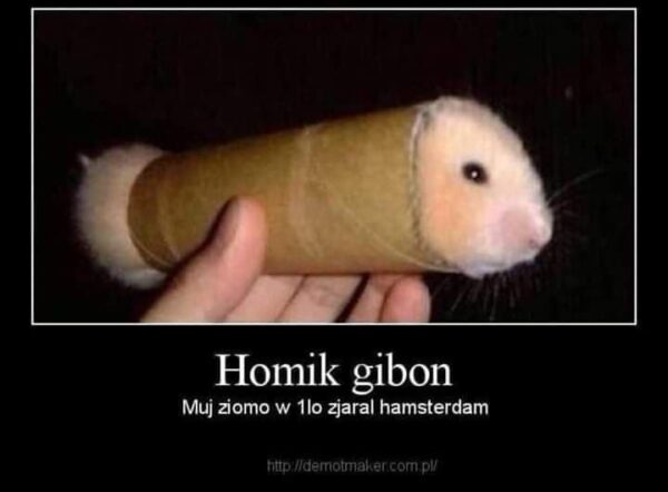 homik gibon